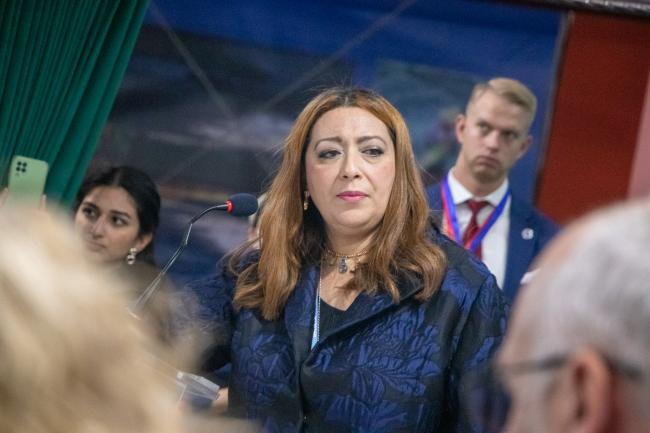 Shereen Zorba, UN Science-Policy-Business Forum