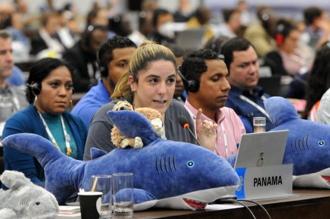 Shirley Binder, Panama