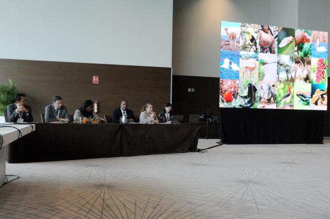 The dais during the presentation of the report