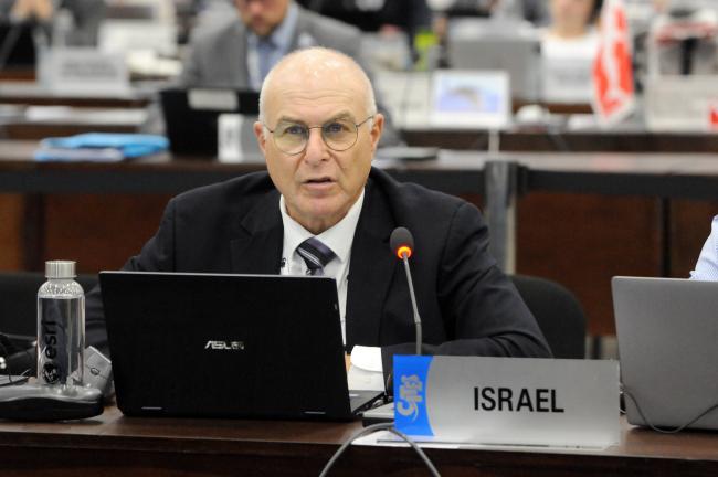 Simon Nemtzov, Israel