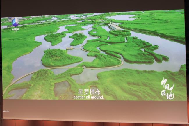 Slide of Wuhan wetland 