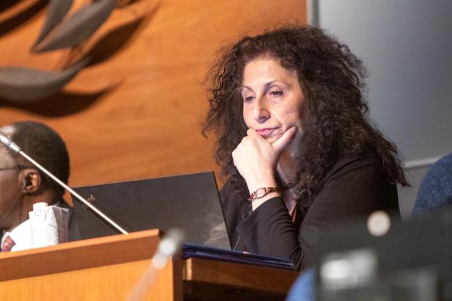 Sophie Mylona, Ozone Secretariat