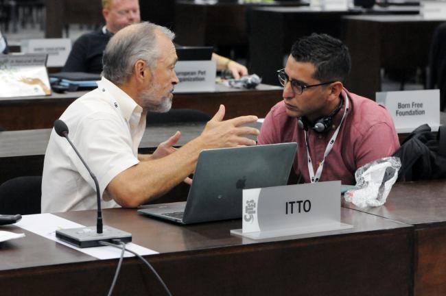 Steven Johnson, ITTO, and Andres Burke, Bolivia