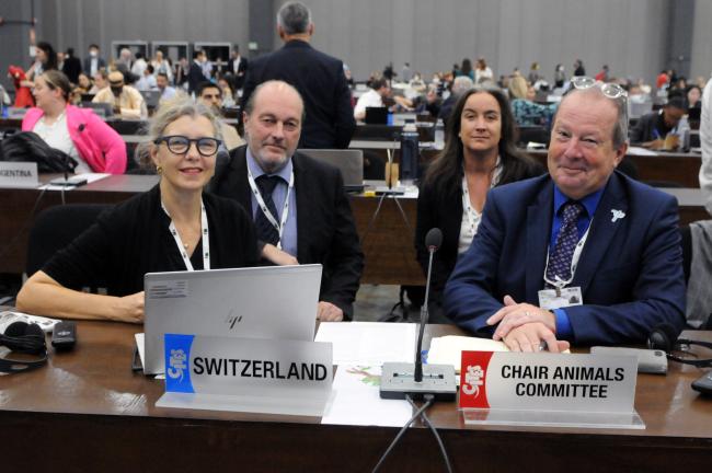 The Swiss delegation