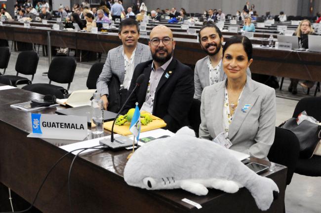 The delegation from Guatemala