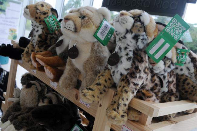 Little tigers
