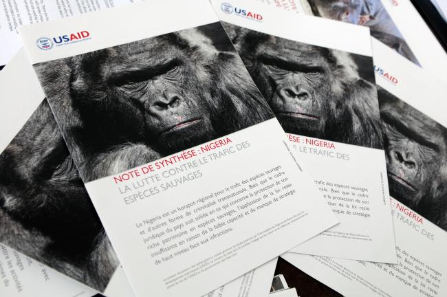 USAID publication