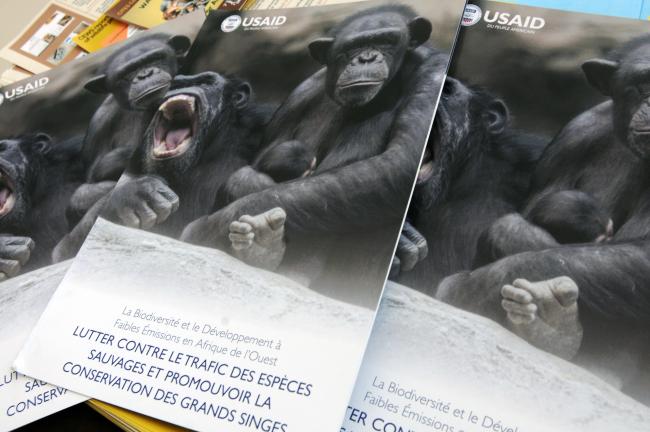 USAID publication