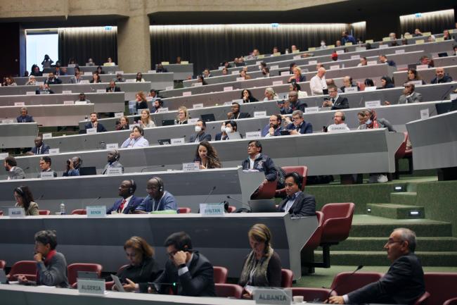 View of the room during the plenary 