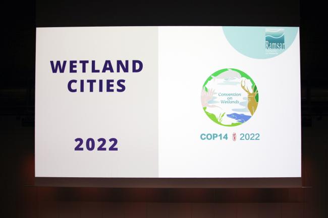 Wetland Cities 