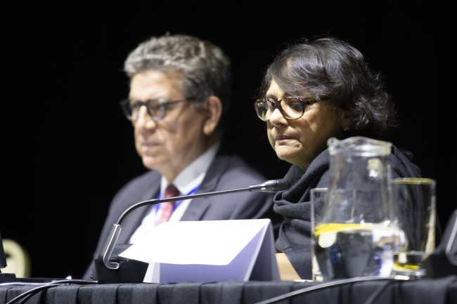Afternoon Plenary