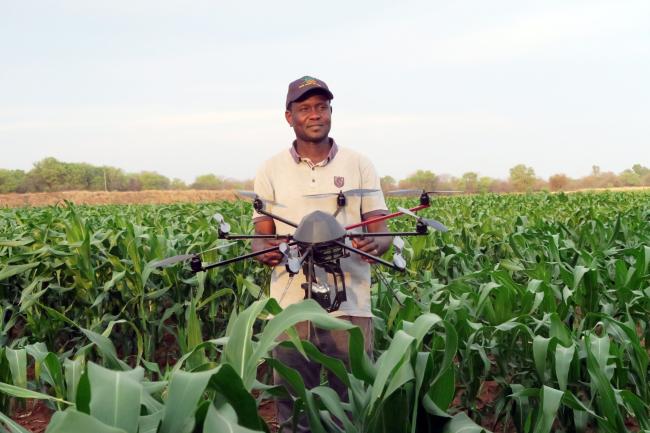 Maize crop health