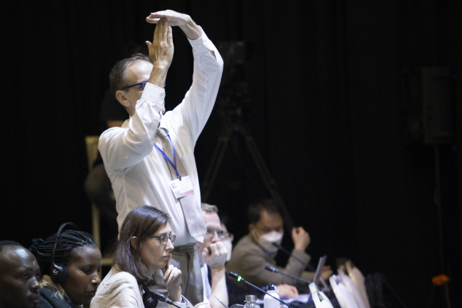 Russia during plenary on INC-1
