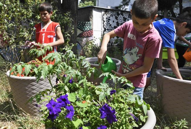 Boys watering flowers