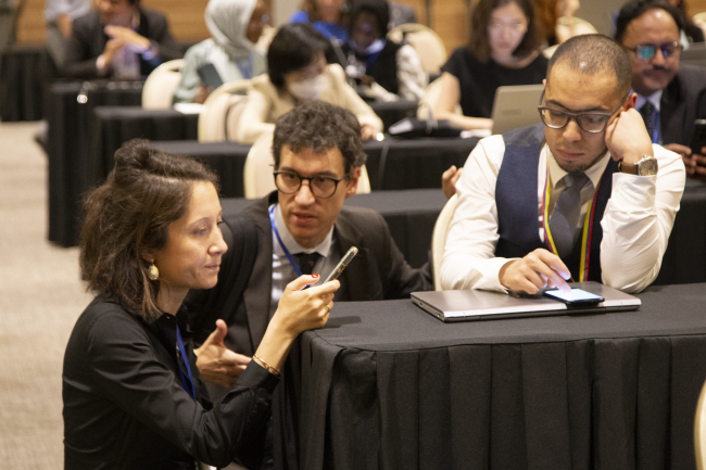 Working Group 5 -  INC-1 Platiscs - 30 Nov 2022- Photo