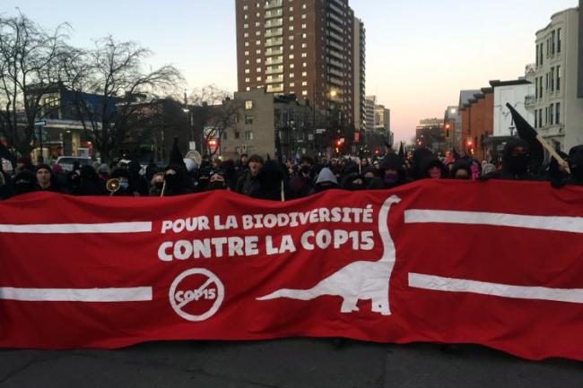 Protest