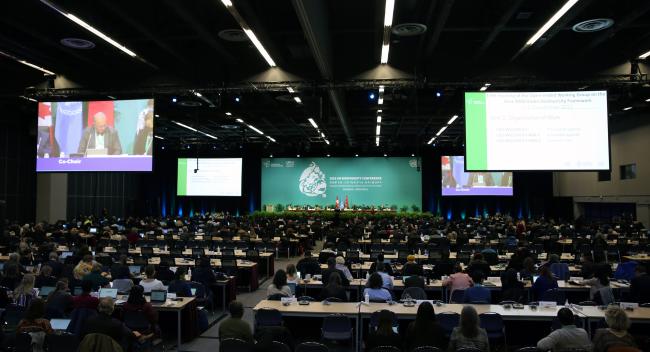 View of the room during the Opening Plenary