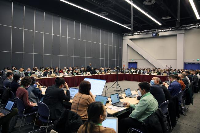 View of the room during a contact group on the post-2020 Global Biodiversity Framework