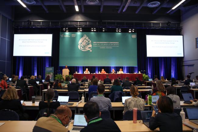 View of the room during the workshop