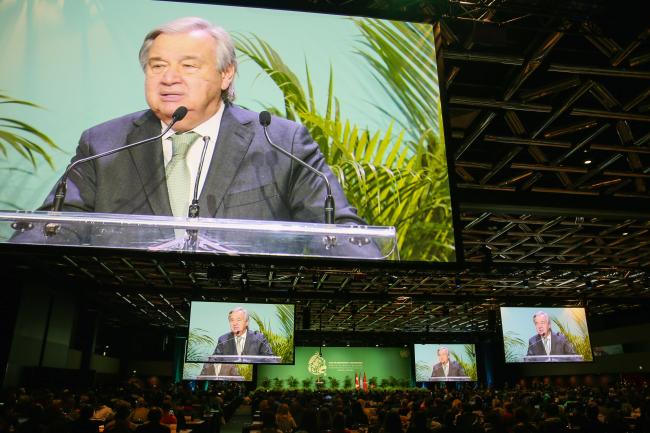 View of the room during the opening ceremony