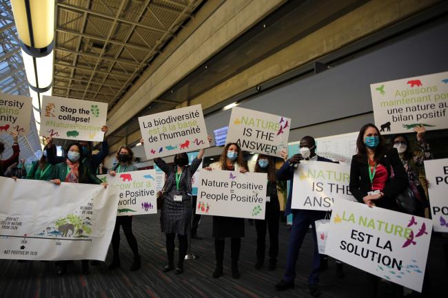 Biodiversity actions