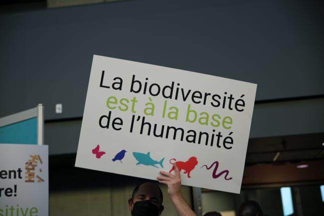 Biodiversity actions