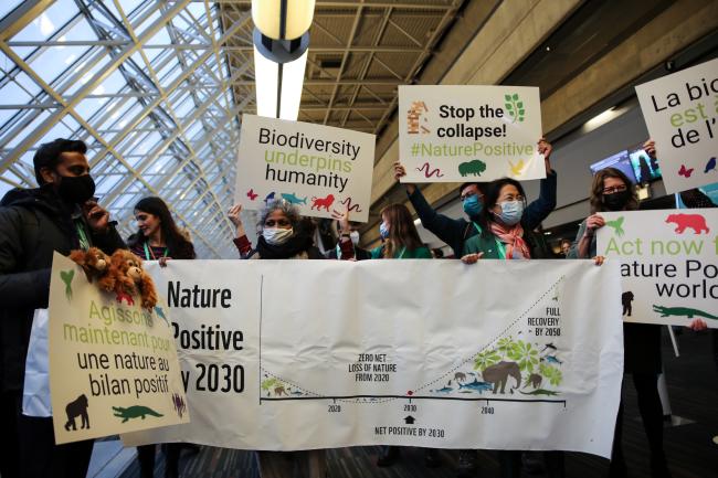 Biodiversity action