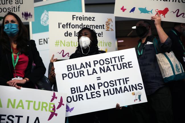 Biodiversity actions