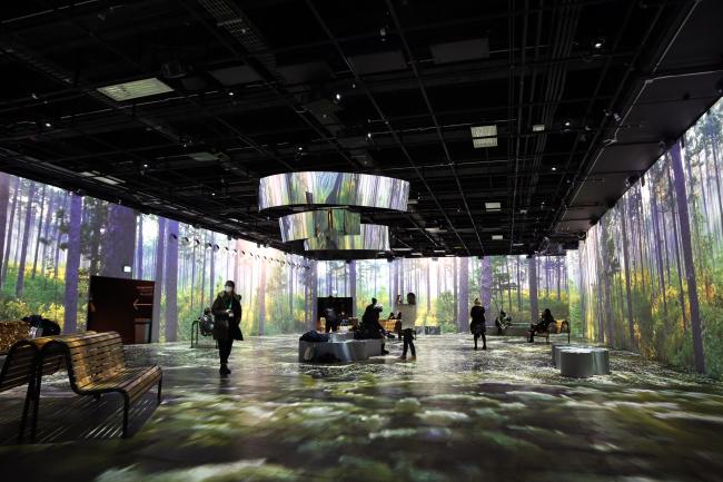 OASIS Immersion room