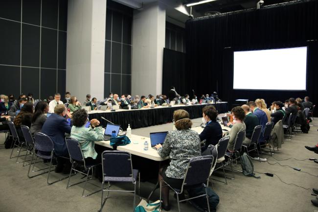 View of the room during a contact group on mechanisms for planning, monitoring, reporting and review 