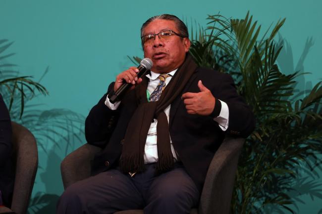 Onel Masardule, Foundation for the Promotion of Indigenous Knowledge