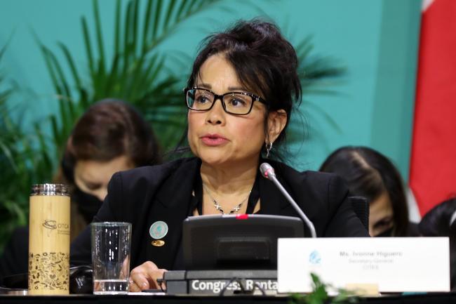 Ivonne Higuero, Secretary-General,  Convention on the International Trade in Endangered Species of Wild Fauna and Flora (CITES)