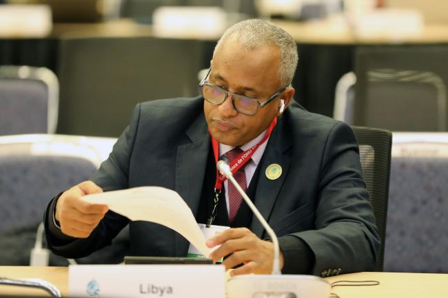 Ibrahim Munir, Minister of Environment, Libya