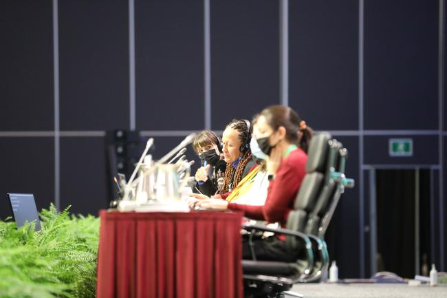 View of the dais during Working Group II