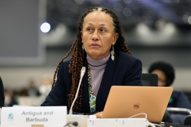 WG II Chair Helena Brown, Antigua and Barbuda