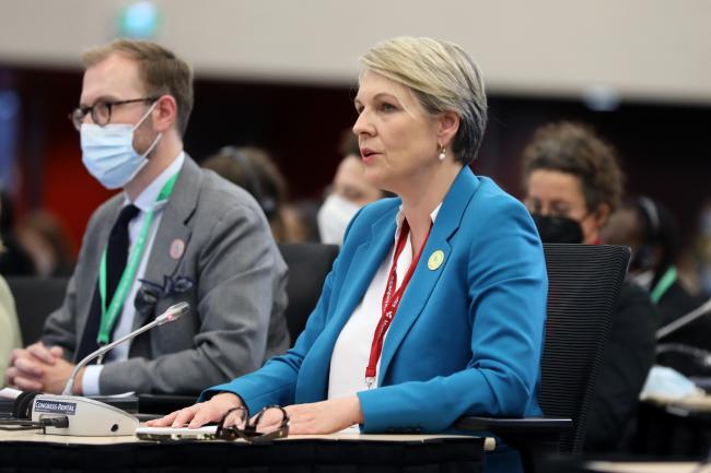 Tanya Plibersek, Minister for the Environment and Water, Australia