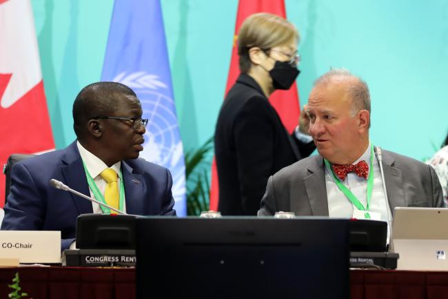 Francis Ogwal and Basil Van Havre, WG2020 Co-Chairs