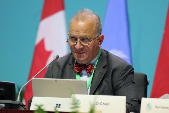 Basile van Havre, WG2020 Co-Chair
