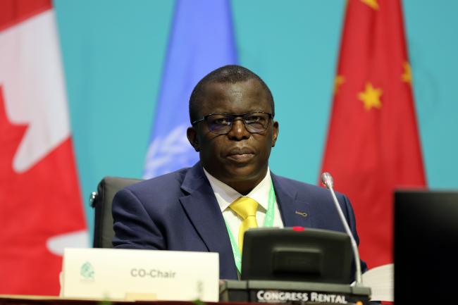 Francis Ogwal, WG2020 Co-Chair