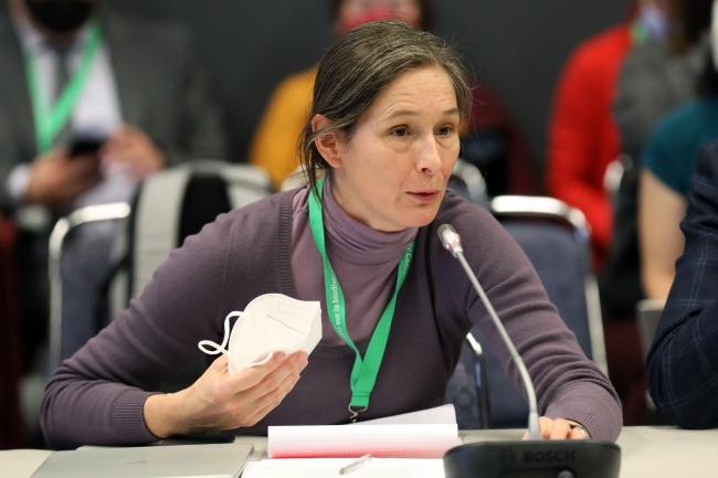 Virginie Dumoulin, EU