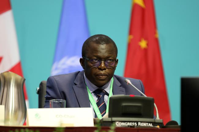 Francis Ogwal, WG2020 Co-Chair