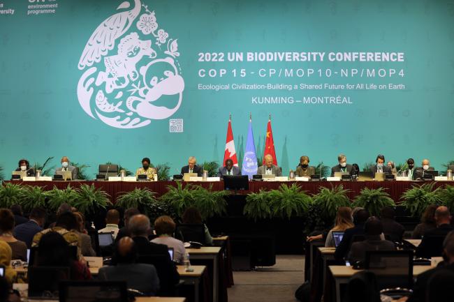 View of the dais during the plenary