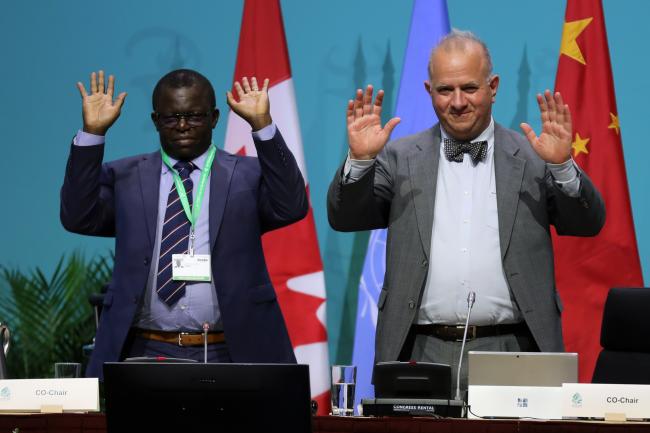 Francis Ogwal and Basil van Havre, WG2020 Co-Chairs
