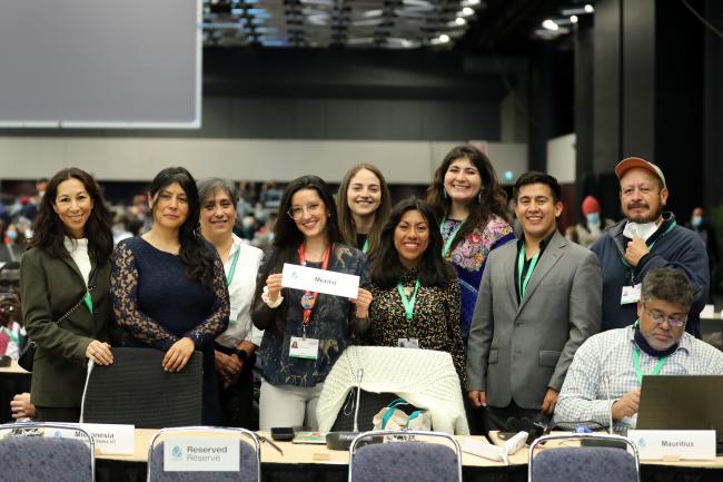 The Mexican delegation