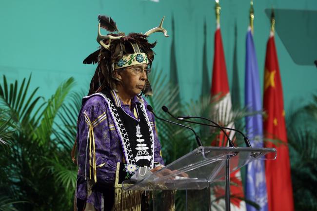Tadodaho Sid Hill, Chief of the Onondaga Nation