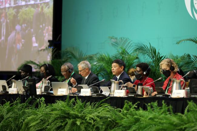 View of the dais during the plenary