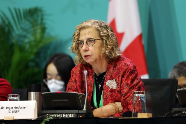 Inger Andersen, Executive Director, UNEP