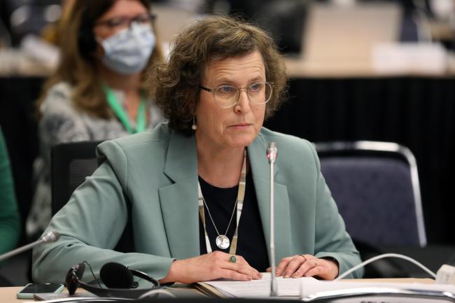 Charlotta Sörqvist, Subsidiary Body on Implementation (SBI) Chair
