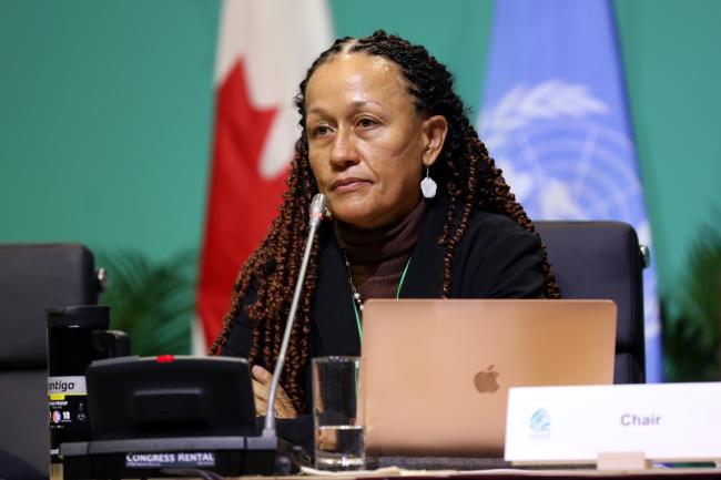 WG II Chair Helena Brown, Antigua and Barbuda