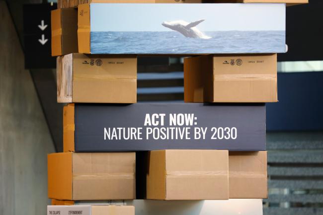Act Now